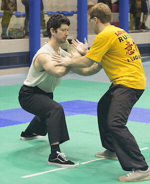 Tai-Chi (Martial Art)